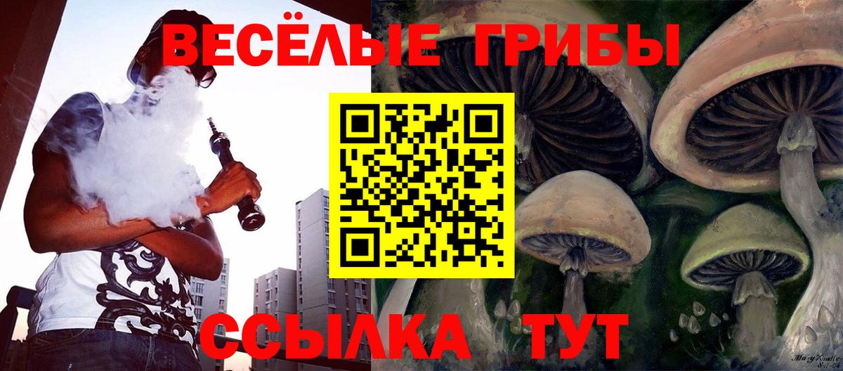 Псилоцибиновые грибы GOLDEN TEACHER  Псилоцибиновые грибы ЛСД  Туапсе  Вход с VPN 