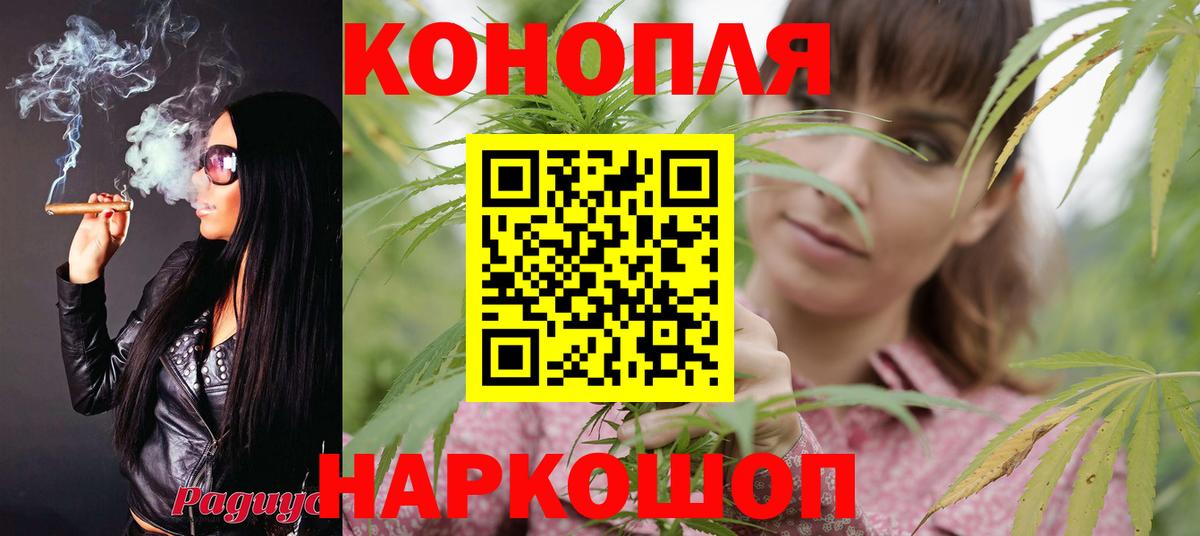 Бошки Шишки гибрид Туапсе